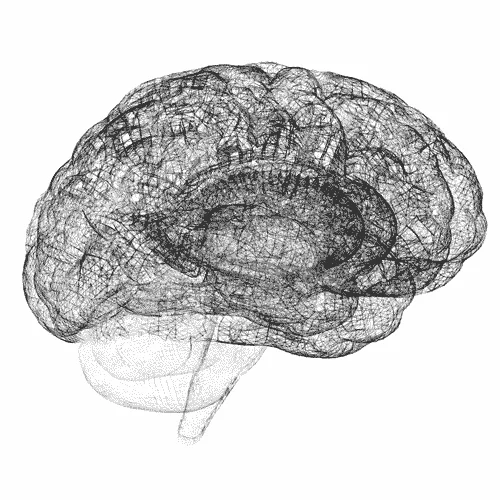 A wireframe brain, used as a visual metaphor for business understanding.